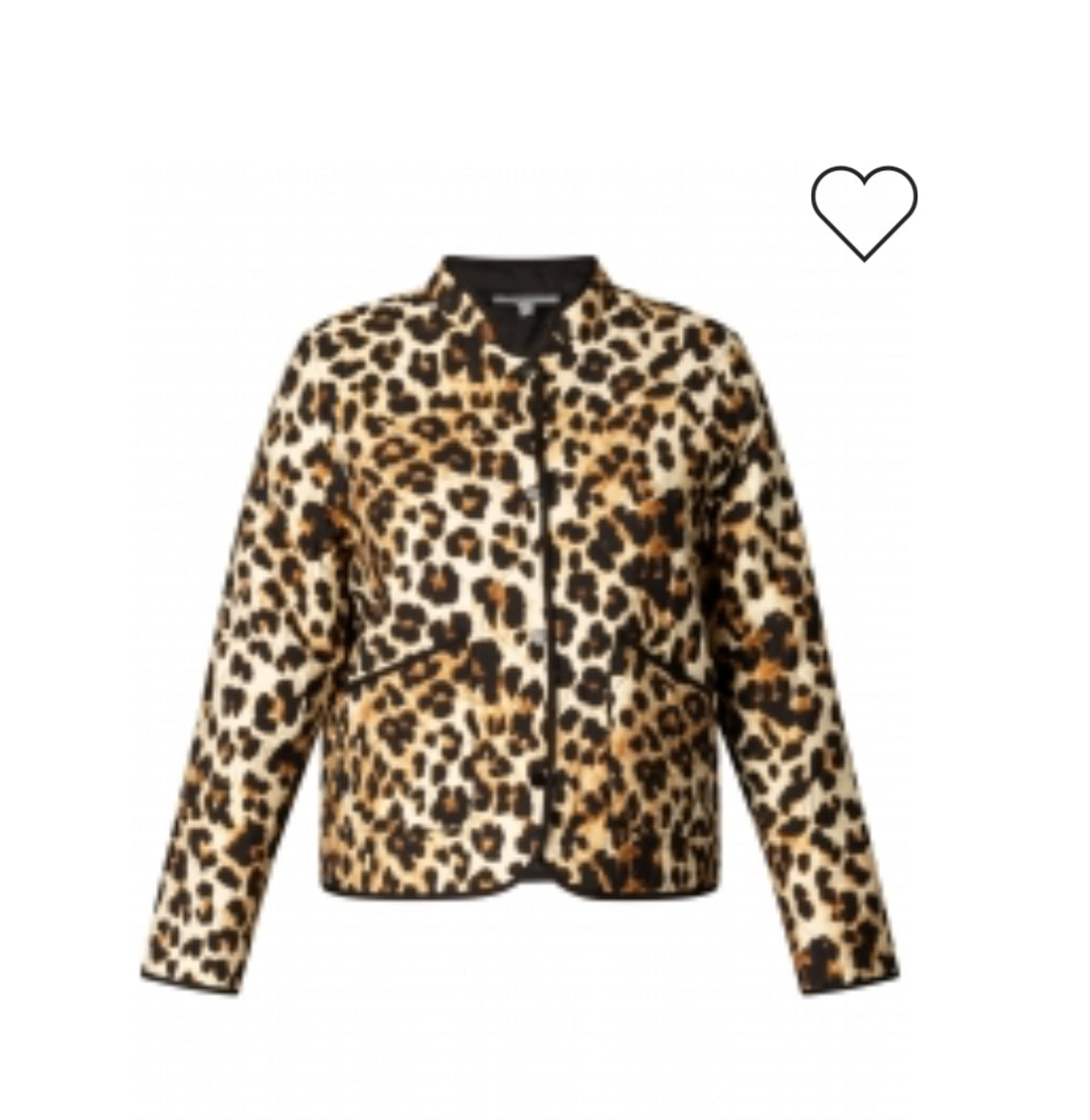 Ivy Beau Jack Rosan animal