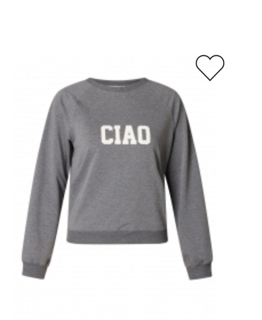 Ivy Beau sweater ciao grijs