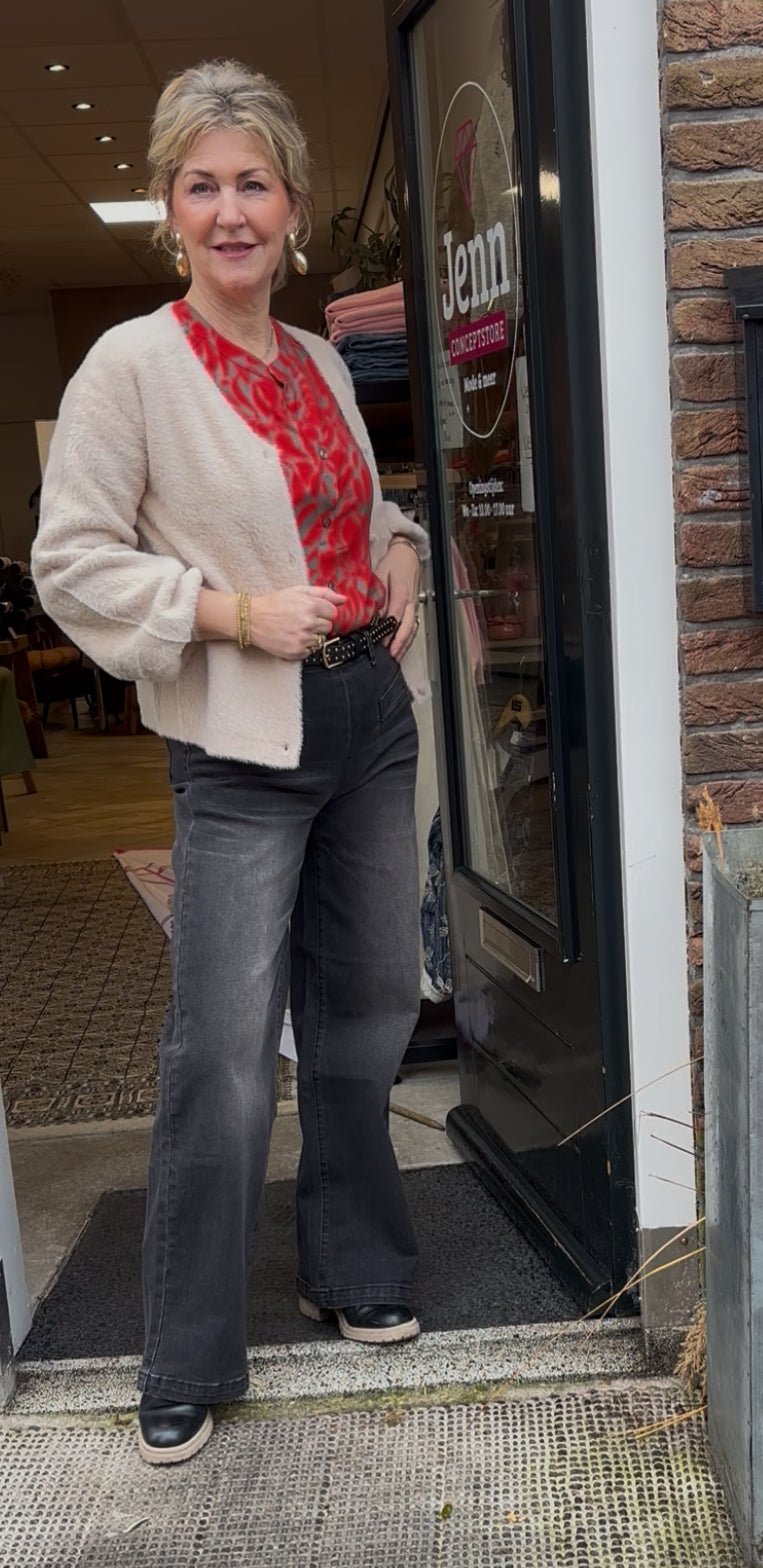 Ivy Beau Sera jeans