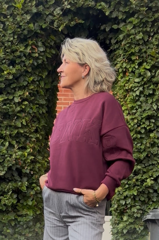 Icnk sweater bordeaux